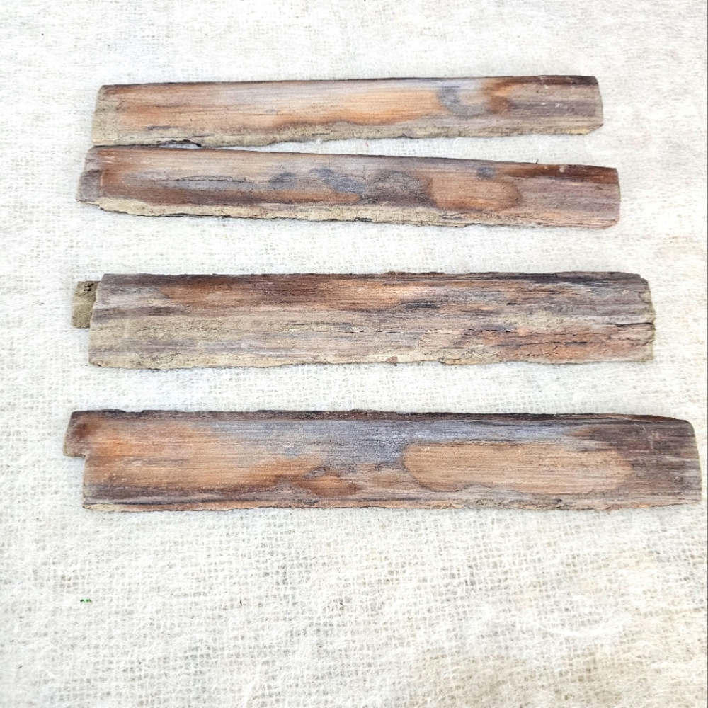 Petrified Wood